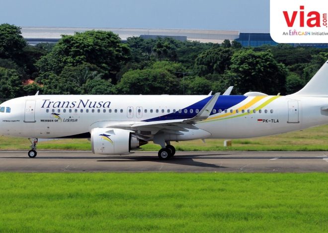 TransNusa Perluas Jaringan Penerbangan Domestik di Indonesia Timur dengan Rute Baru